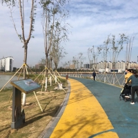 柘城容湖國家濕地公園，深秋美如畫