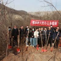 早春時(shí)節(jié)植樹忙 焦作人防開展春季義務(wù)植樹活動(dòng)