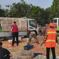 拉雞蛋貨車側(cè)翻，商丘環(huán)衛(wèi)工人和路過市民紛紛上前幫忙撿拾雞蛋