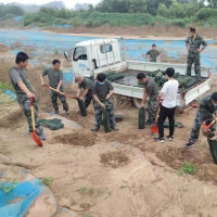 鄭州惠濟區(qū)大河路最靚的一抹綠    退役軍人沖鋒隊 