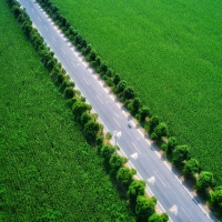 河南變農(nóng)村公路為鄉(xiāng)村振興的“加速器”