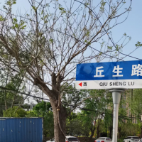 商水縣：智慧路標(biāo)掃一掃，道路信息全知道