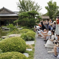 絲路織紐帶 攜手向未來丨這個太白山唐風小鎮(zhèn)，讓你“秒回”唐朝