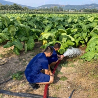 郟縣：消防送水到田間 抗旱保秋解煩憂(yōu)