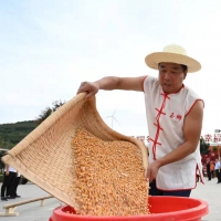 南陽：健身+健康，處處“農家樂”