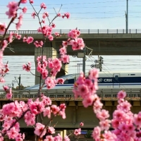 沿著“米”字高鐵春游 鄭州鐵路周末加開(kāi)19列高鐵