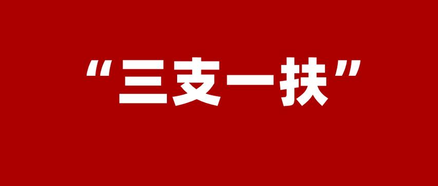 如何報考？待遇如何？2024年“三支一扶”計劃解讀